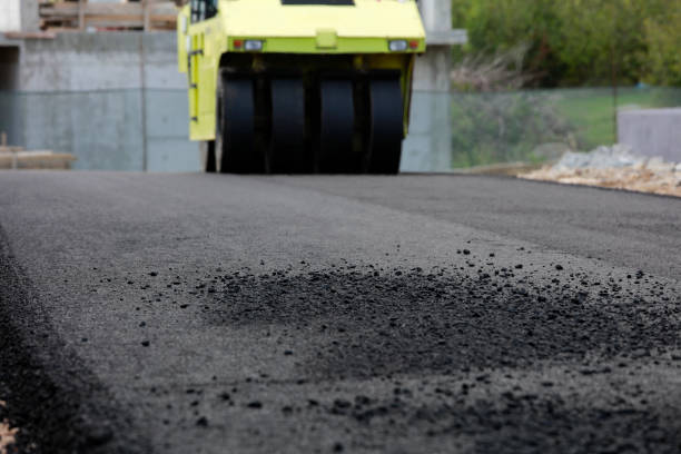 Best Local Driveway Pavers  in Cairo, IL