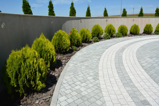Best Permeable Paver Driveway  in Cairo, IL